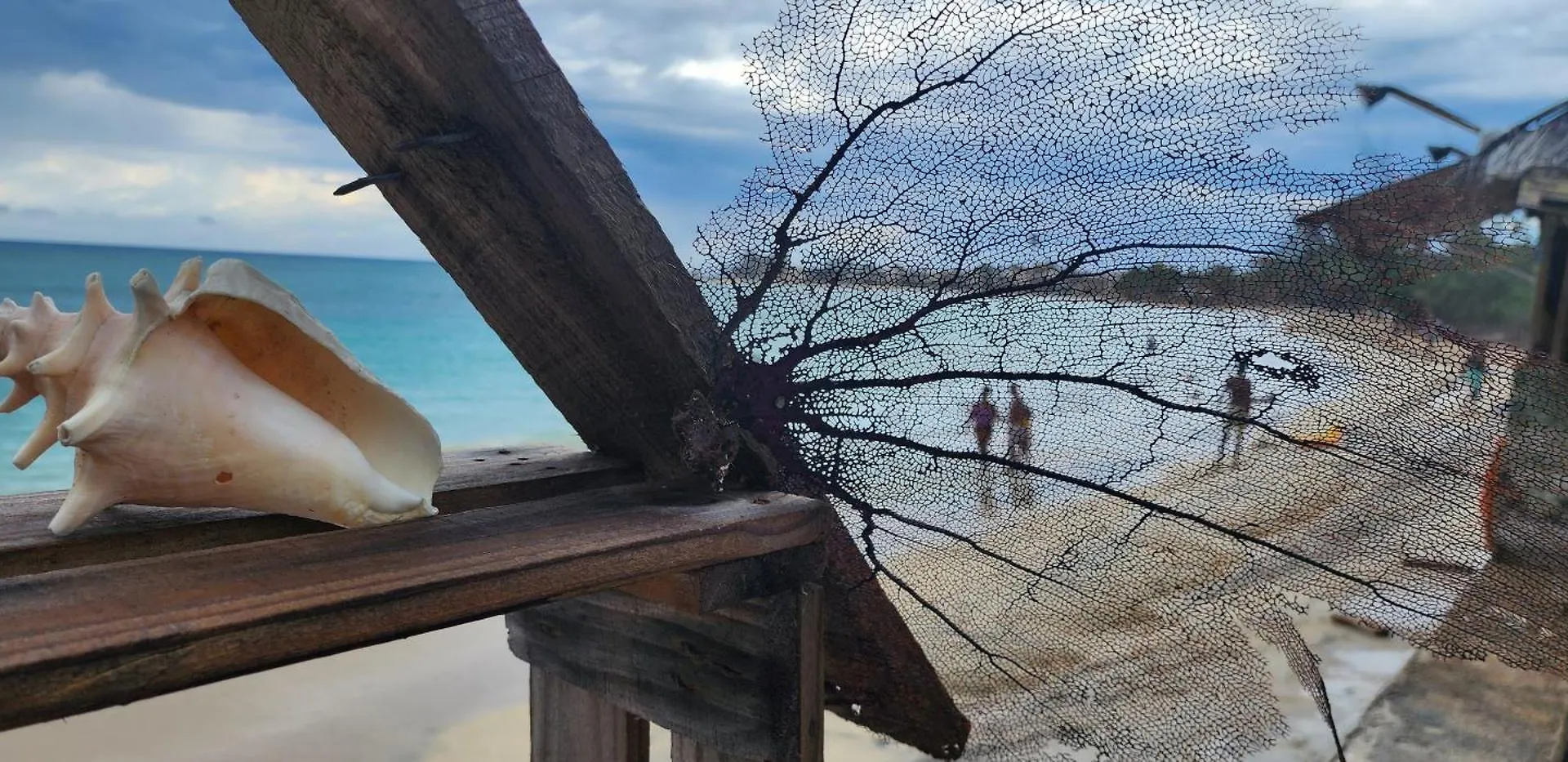 Cardiff Private Retreat Villa Scarlett Hall 0*,  Jamaica